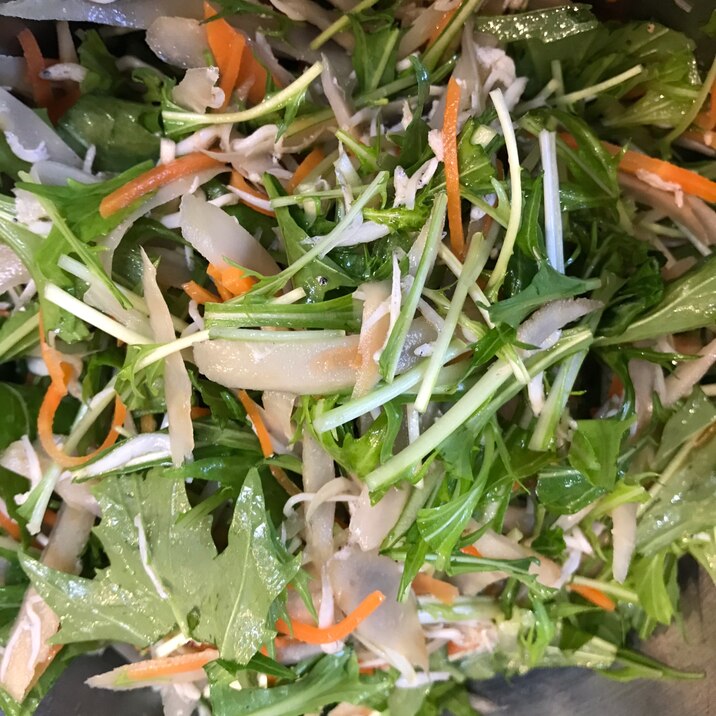 デパ地下風 新ごぼうと水菜のサラダ レシピ 作り方 By ゆごりん 楽天レシピ デパ地下風 新ごぼうと水菜のサラダ レシピ 作り方 By ゆごりん 楽天レシピ